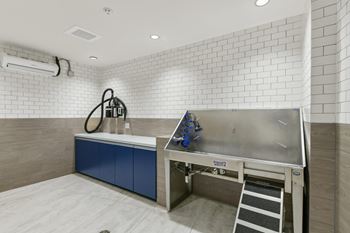 Pet Wash Center  at Link Apartments® H Street, Washington, 20002